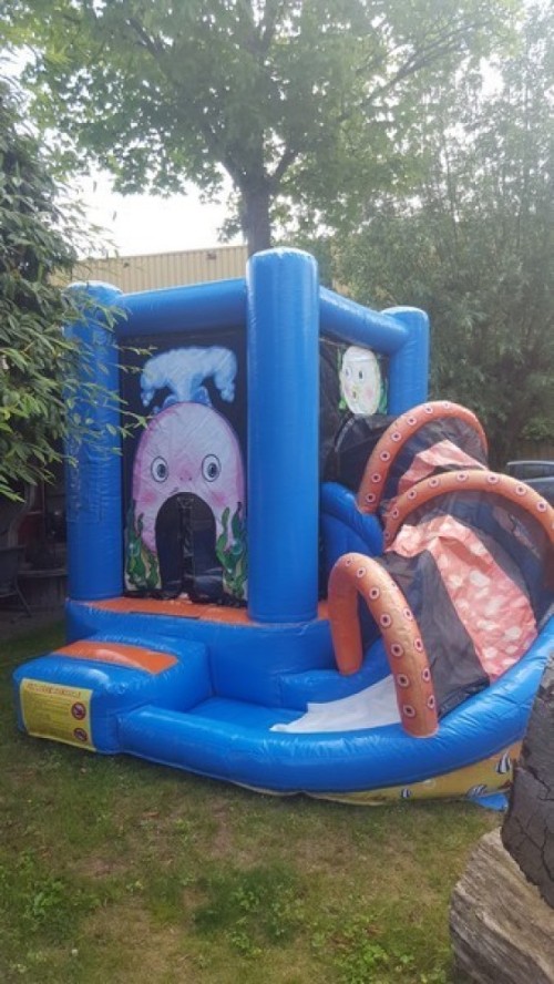 Springkussen Mini walvis met slide
